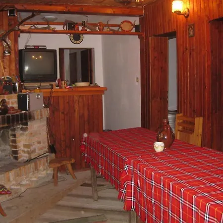 Elena Villa